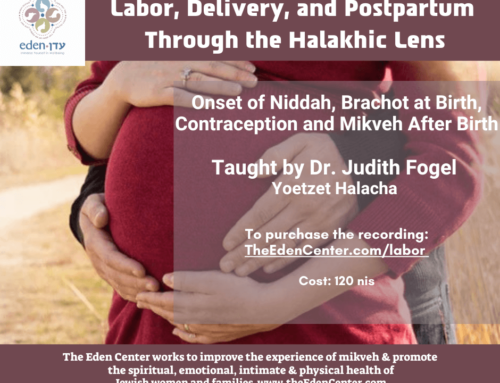 Labor, Delivery and Postpartum Through the Halakhic Lens